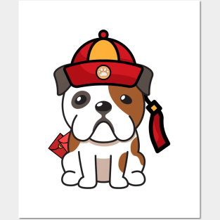 Cute English Bulldog Ready for lunar new year Posters and Art